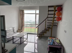 整租·金波小区A区 1室1厅 南/北_金波小区A区租房