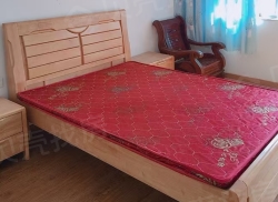 整租·荷花小区北区 2室2厅 南_荷花小区北区租房