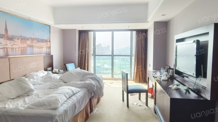 维也纳国际酒店二手房实景图