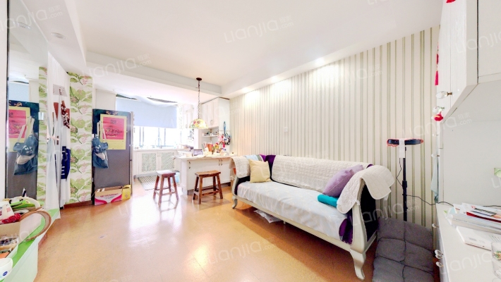 施家花园二手房实景图