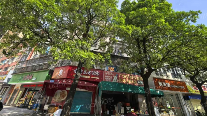 大良单家五沙居委会二手房实景图