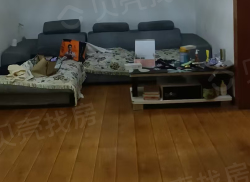 整租·磁湖巷9号 2室2厅 南/北_磁湖巷9号租房