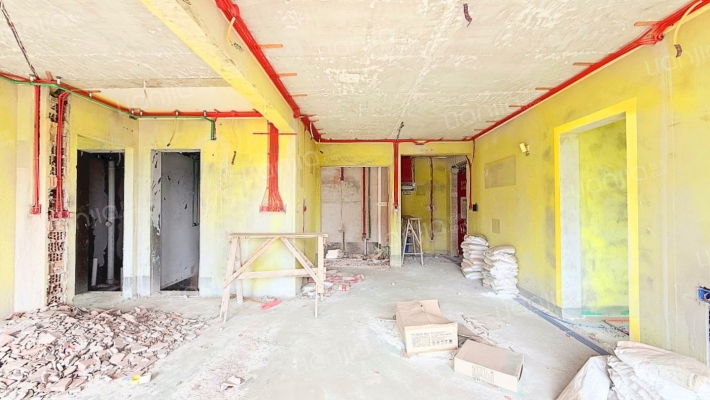 金科岭上洋楼二手房实景图