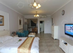 整租·美丽新海岸 1室0厅 西南_美丽新海岸租房