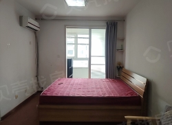 整租·现代城 1室1厅 南_现代城租房