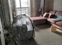 整租·金岭美居 2室1厅 南/北_金岭美居租房