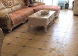 整租·东原·香屿 3室2厅 西_东原·香屿租房