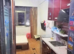 整租·奥韵康城 1室1厅 北_奥韵康城租房