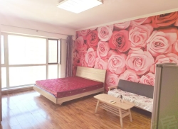 整租·华业广场 1室1厅 南_华业广场租房