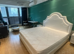 整租·三一南方总部大厦 1室0厅 西南_三一南方总部大厦租房