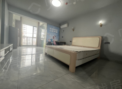 整租·新天地 1室1厅 北_新天地租房