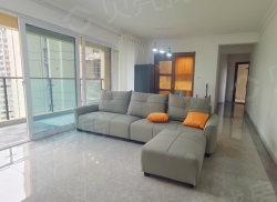 整租·碧桂园铂悦府 3室2厅 南/北_碧桂园铂悦府租房