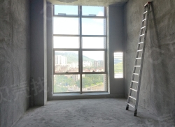 整租·中交国际自贸中心 1室0厅 东_中交国际自贸中心租房