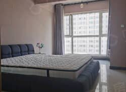 整租·万达广场 2室1厅 南/北_万达广场租房