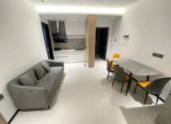 整租·中商广场 2室1厅 南_中商广场租房