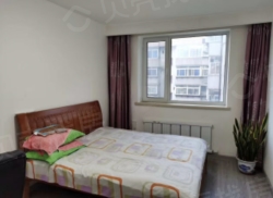 整租·六纬路学区东晨社区北区 1室1厅 南/北_六纬路学区东晨社区北区租房