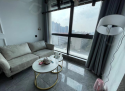 整租·润达国际 1室1厅 北_润达国际租房