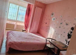 整租·平安西区 1室1厅 南_平安西区租房