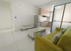 整租·乐园小区二区 2室1厅 南/北_乐园小区二区租房