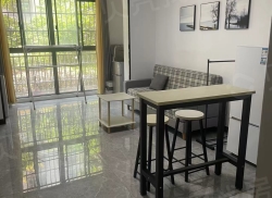 整租·玉鑫巴陵星城 1室1厅 南_玉鑫巴陵星城租房