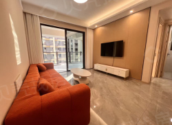 整租·远达.雨林时光 2室2厅 东南_远达.雨林时光租房