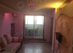 整租·新景花园 1室1厅 南_新景花园租房