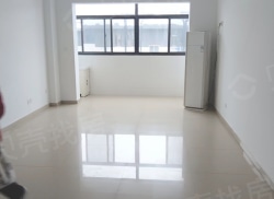 整租·江南商厦 1室1厅 南_江南商厦租房