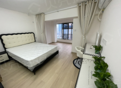 整租·蜀天雨城汇 1室1厅 南_蜀天雨城汇租房