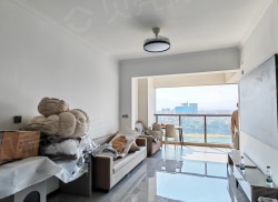 整租·岸芷汀兰天悦 1室1厅 西/东北_岸芷汀兰天悦租房