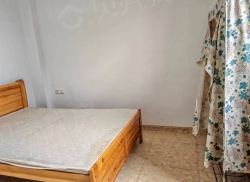 整租·北关 2室1厅 东_北关租房