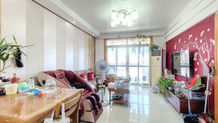 红梅苑二手房实景图