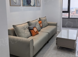 整租·奥园玖珑天境 2室2厅 南_奥园玖珑天境租房