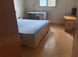 整租·市一建老院 1室1厅 南/北_市一建老院租房