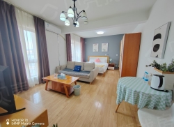 整租·时代广场 1室1厅 南_时代广场租房