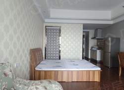 整租·绵阳CBD万达广场 1室1厅 西南_绵阳CBD万达广场租房