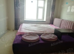 整租·北奇星河湾 1室1厅 西_北奇星河湾租房