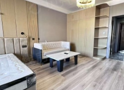 整租·江南·城市公馆 1室1厅 东_江南·城市公馆租房