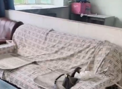 整租·汇通楼 2室1厅 南_汇通楼租房