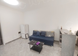 整租·德商国际花园 1室0厅 南_德商国际花园租房