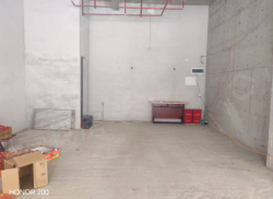 整租·滨水天宸 1室0厅 南_滨水天宸租房