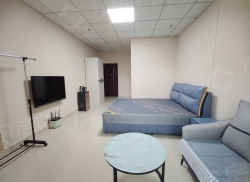 整租·华茂观邸 1室1厅 南_华茂观邸租房