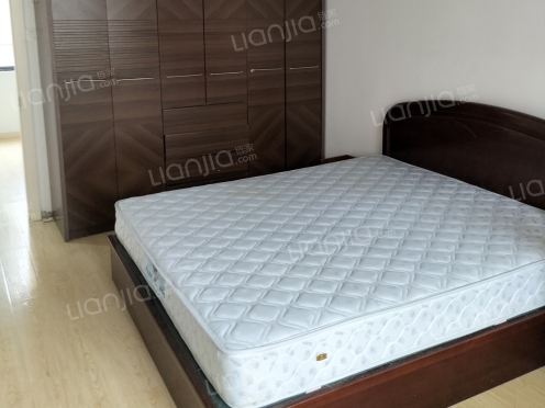 整租·苏大北小区 1室1厅 南/北