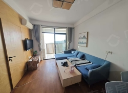 整租·上林春天里 1室1厅 南/北_上林春天里租房