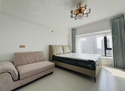 整租·金茂未来广场 1室1厅 西_金茂未来广场租房