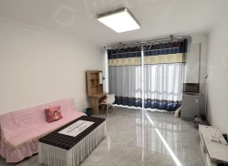 整租·大新家园 2室1厅 南/北_大新家园租房