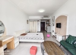 整租·弘盛王朝 1室1厅 南_弘盛王朝租房