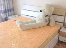 整租·新北万达广场 1室1厅 西_新北万达广场租房