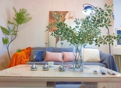 整租·博大青年城 1室1厅 南_博大青年城租房