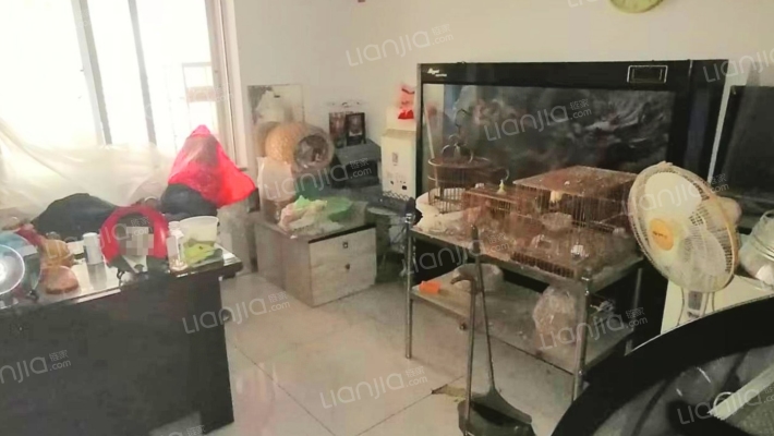 邮局小区二手房实景图