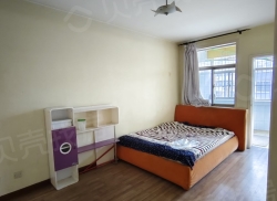 整租·望岳B区贤德苑 3室2厅 南_望岳B区贤德苑租房